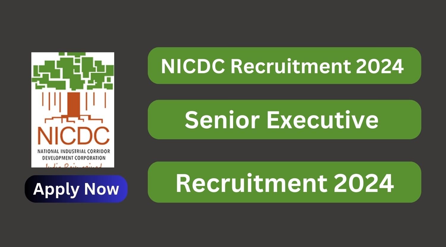 NICDC Recruitment 2024 Sai Vikram Academy