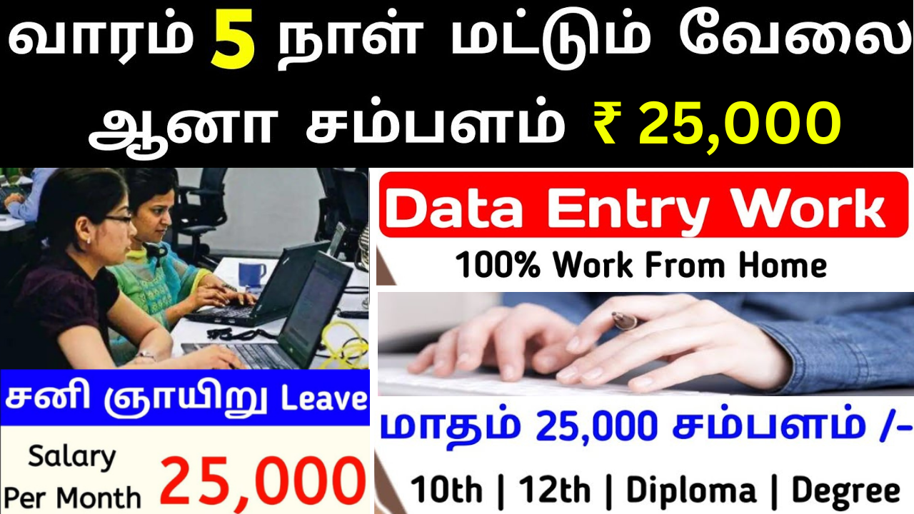 New Data Entry Work from Home Job 2023 Sai Vikram Academy