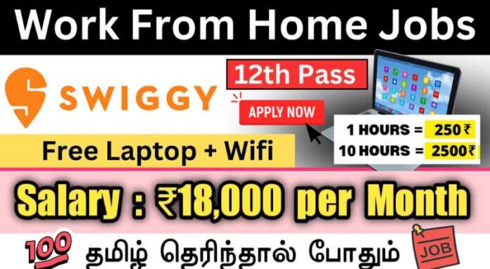 Swiggy Work From Home Jobs 2024