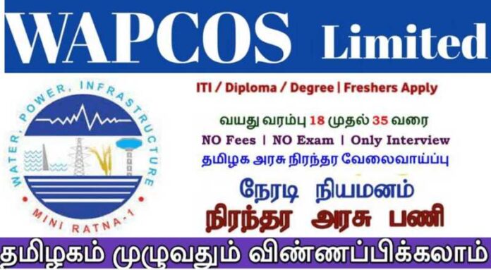 WAPCOS Recruitment 2024