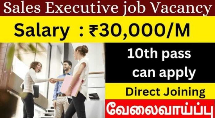 Sales Executive Job 2024