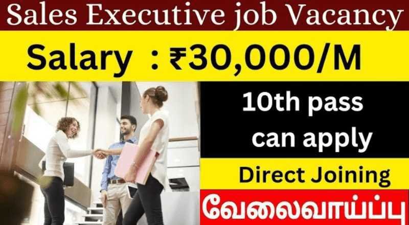 Sales Executive Job 2024 Sai Vikram Academy   Untitled Design 2024 02 04T114052.335 Min 1 