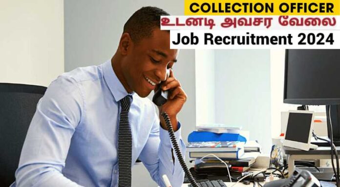 Office Staff Collection Executive Job 2024