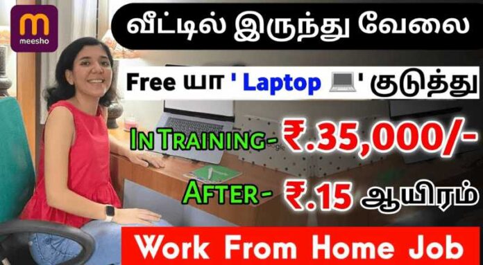 Meesho Work From Home Jobs 2024