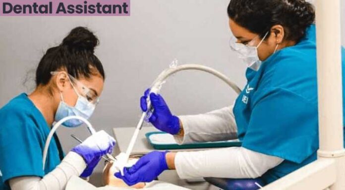 Dental Assistant Job 2024