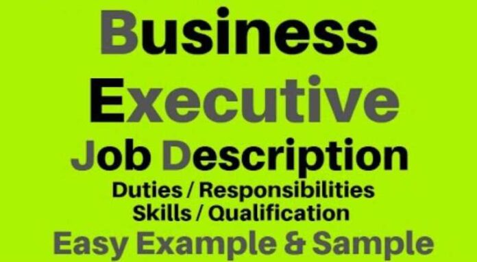 Business Executive Job Description | Business Executive Duties and Responsibilities and Roles