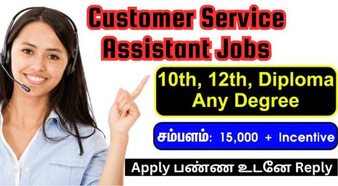 Customer Service Assistant Jobs 2024