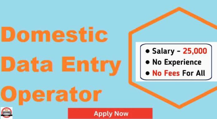 Data Entry Operator Job 2024