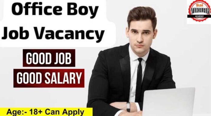 Office Boy Job 2024