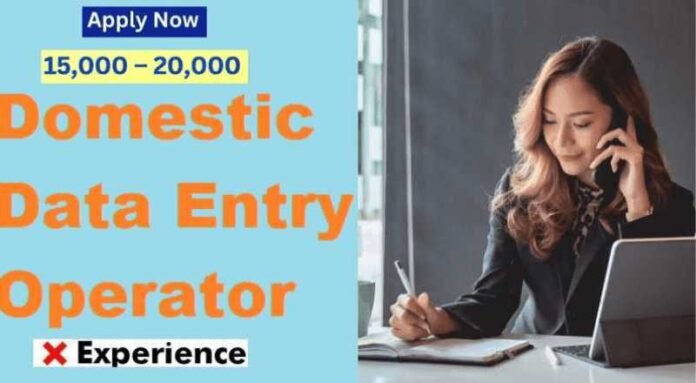 Data Entry Operator Job 2024