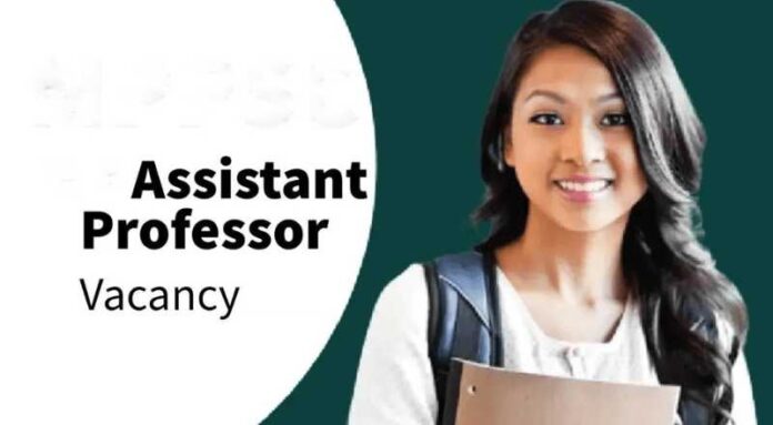 Assistant Professor Job 2024