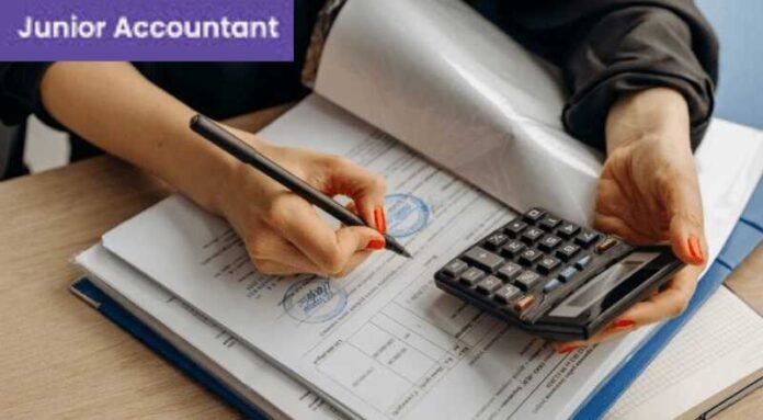 Junior Accountant Job 2024