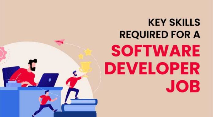 Software Developer Job 2024