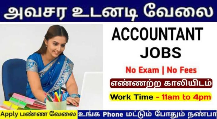 Accountant Staff Job 2024