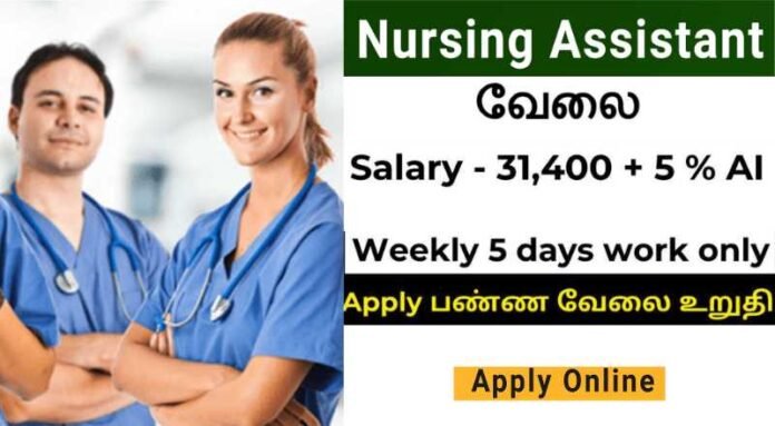 Nursing Assistant Job 2024