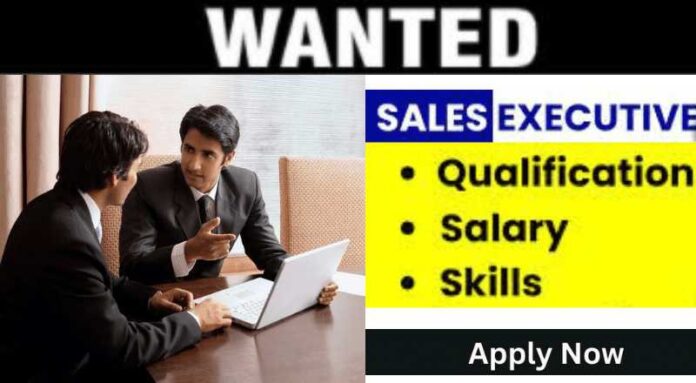 Sales Executive Job 2024