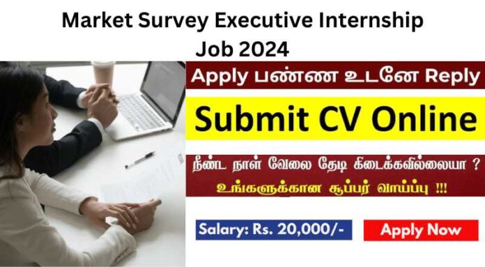Market Survey Executive Internship Job 2024