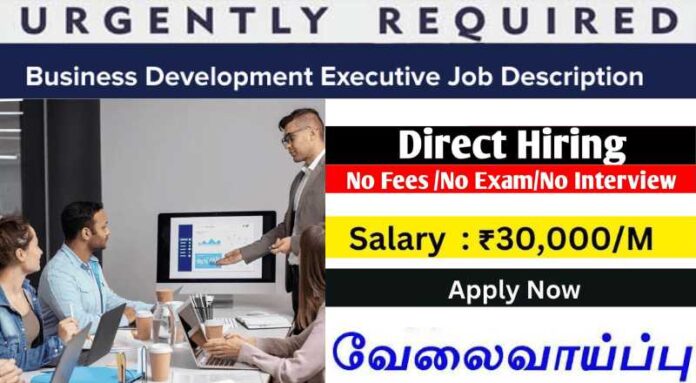 Business Development Executive Job 2024 