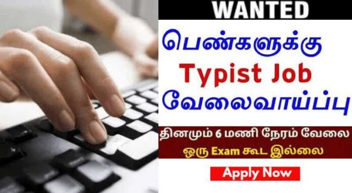 Typist Job 2024