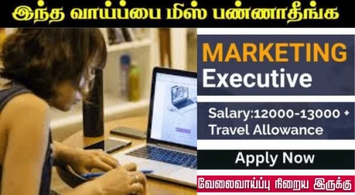 Marketing Executive Job 2024