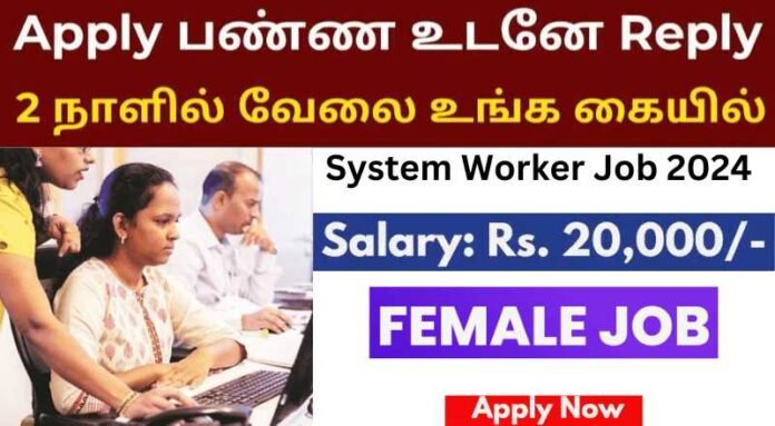 System Worker Job 2024