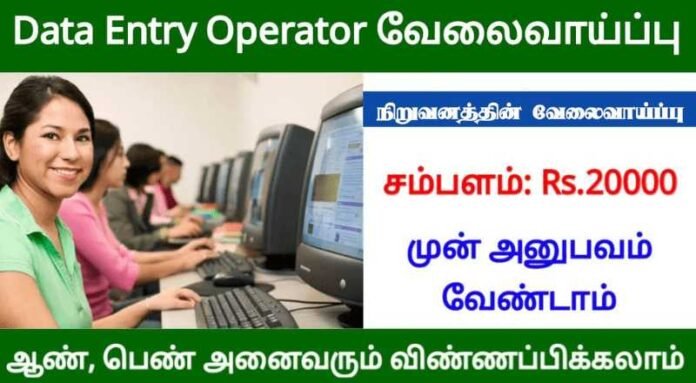 Domestic Data entry Operator Job 2024