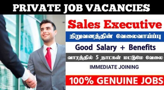 Sales Executive Job 2024