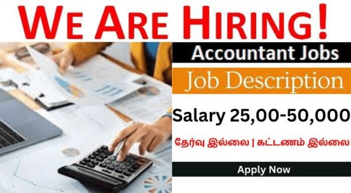 Accountant Job 2024