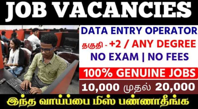 Data Entry Officer Job 2024