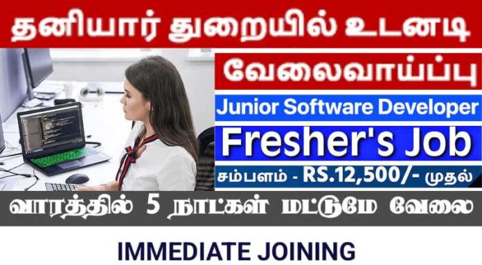 Junior Software Developer Job 2024 