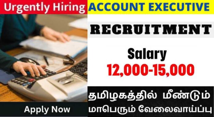 Accounts Executive Job 2024