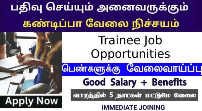 Trainee Job 2024