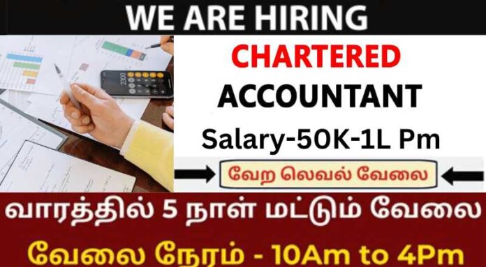 Chartered Accountant Job 2024