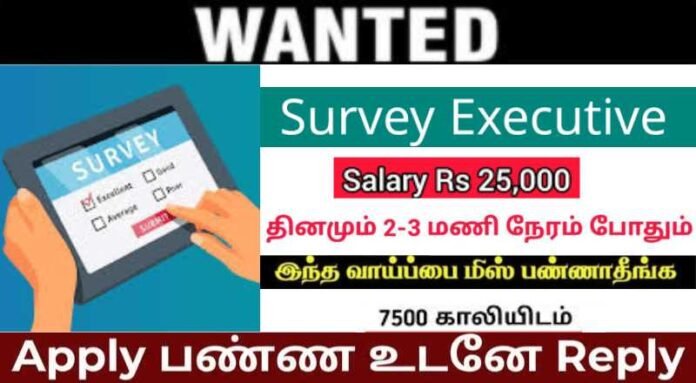 Survey Executive Job 2024