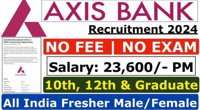 Axis Bank Financial Service Job 2024