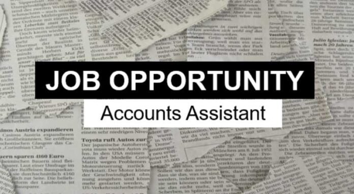 Accounts Assistant Job 2024