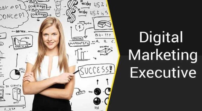 Digital Marketing Executive Job 2024