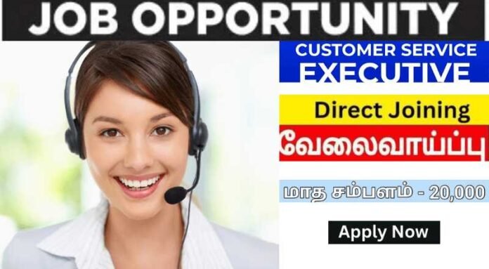 Customer Care Executive Job 2024