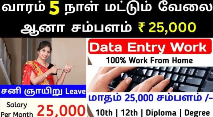 Data Entry Typist Part time Jobs