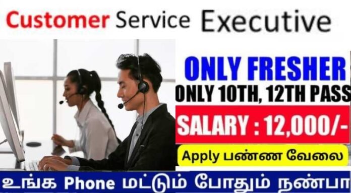 Customer Care Executive Job 2024