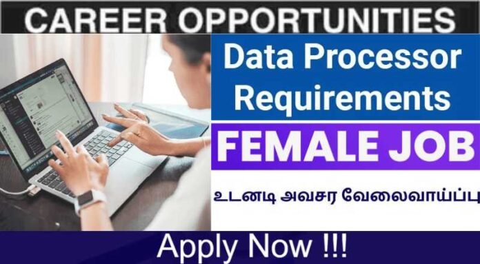 Data Processor Job 2024