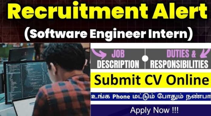 Intern Software Engineer Job 2024