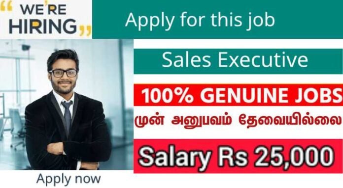 Sales Executive Job 2024