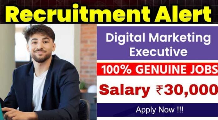 Digital Marketing Executive Job 2024