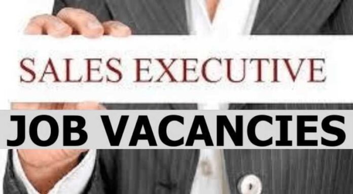 Sales Executive Job 2024