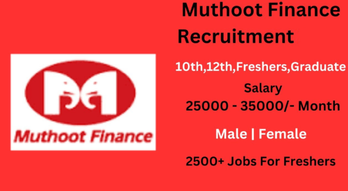 Muthoot Finance Accounts Executive Job 2024