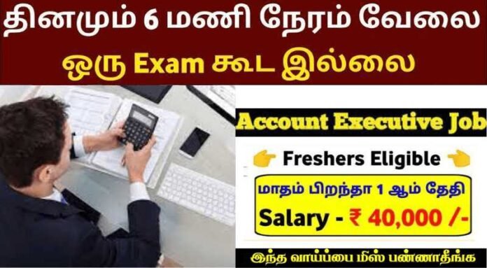 Accounts Executive Job 2024 