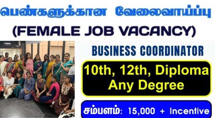 Business Coordinator Job 2024