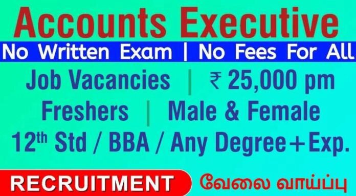 Accountant Job 2024