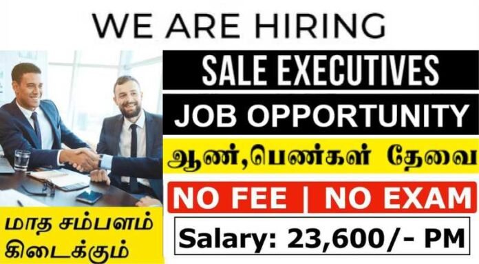 Sales Executive Job 2024